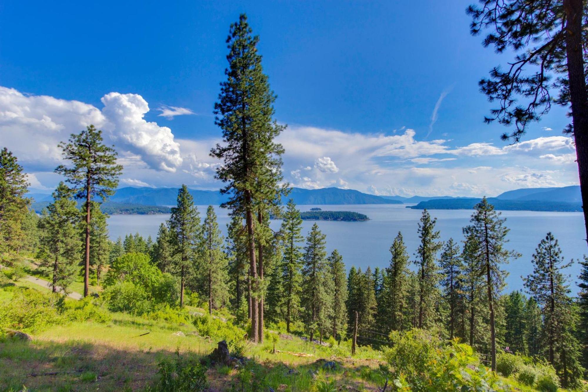 Apartmán Driftwood 5 Sandpoint Exteriér fotografie